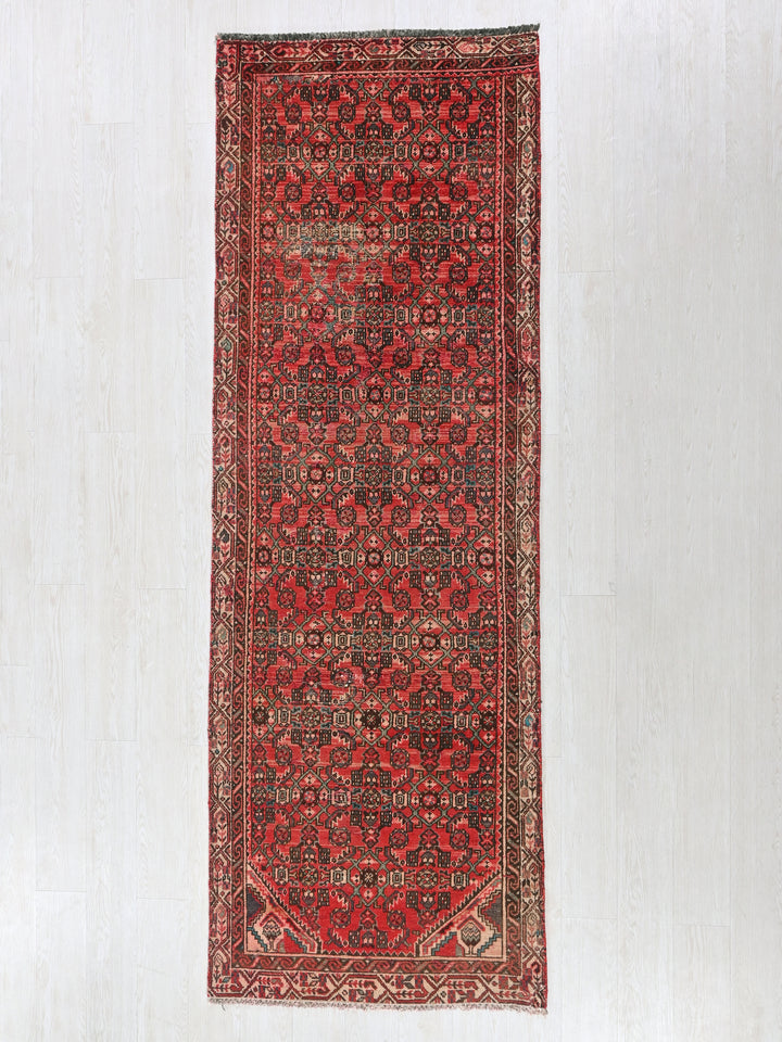 3' 1" x 9' 1"