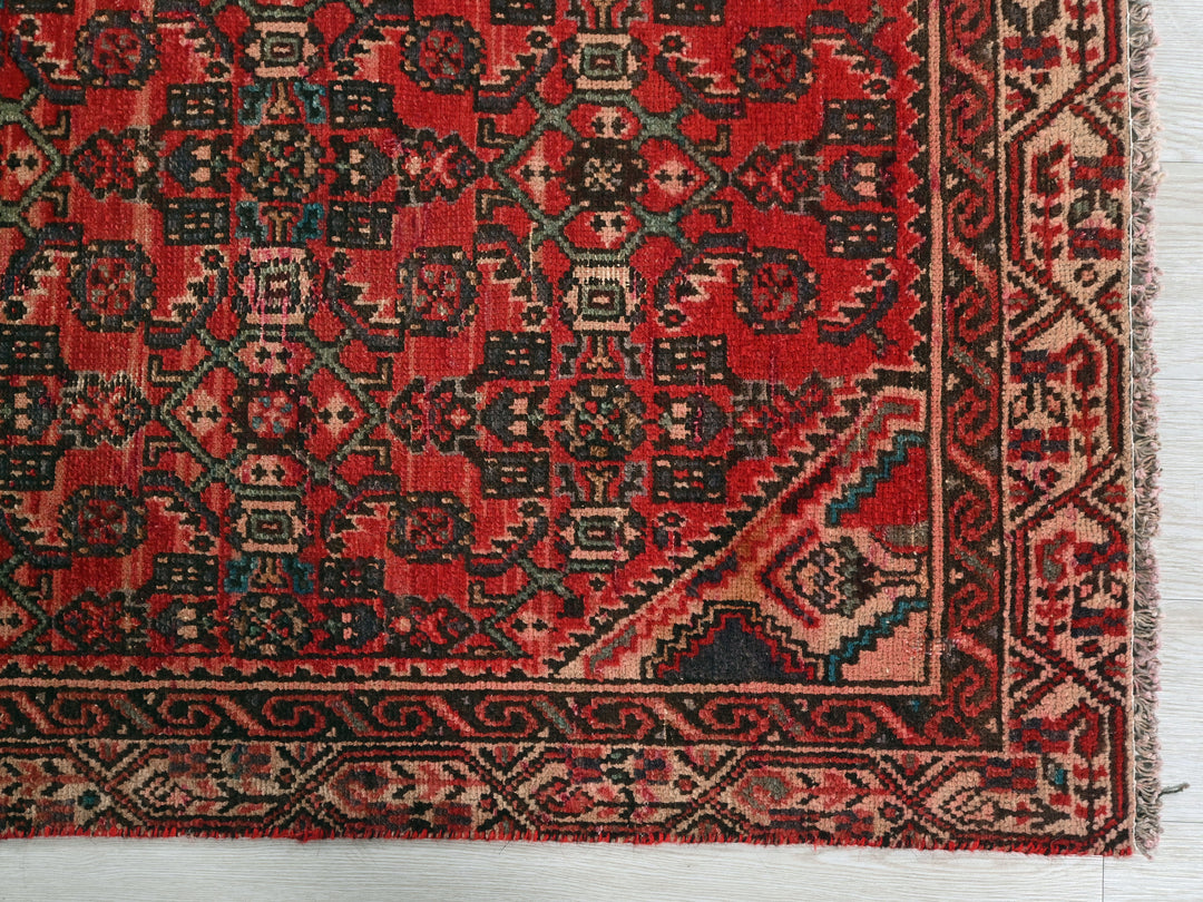 3' 1" x 9' 1"