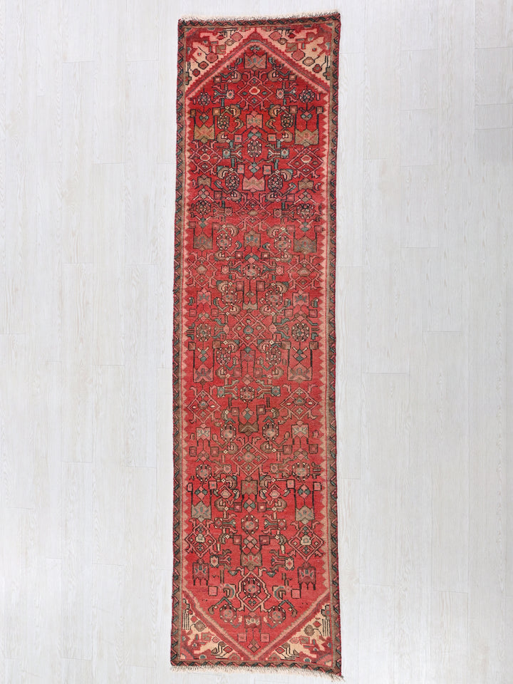 2' 4" x 9' 3"