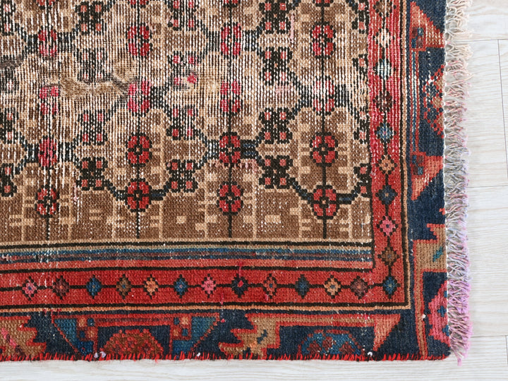 2' 4" x 4' 3"