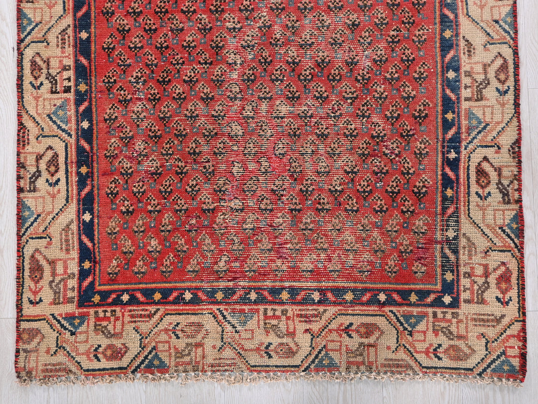 3' 2" x 8' 2"