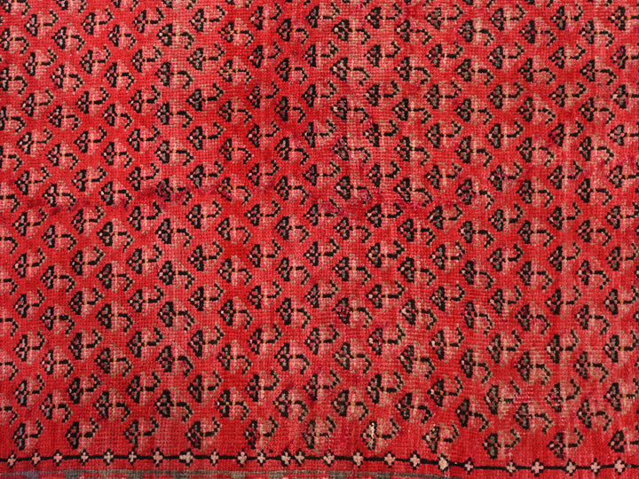 3' 4" x 10' 2"
