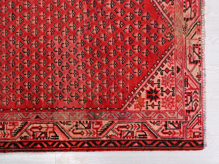 3' 4" x 10' 2"