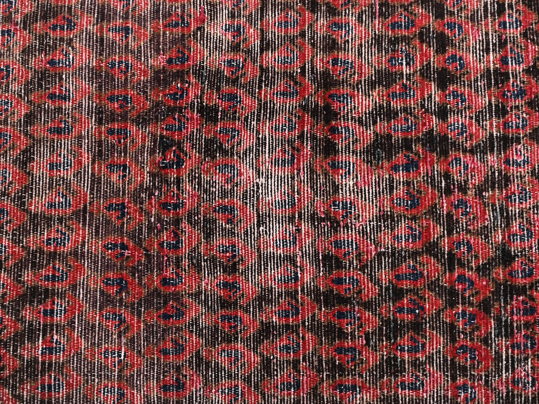 2' 6" x 14' 0"