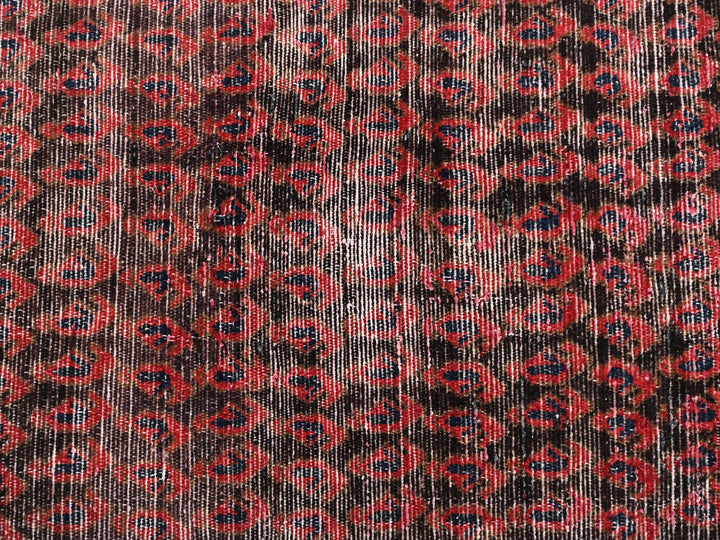 2' 6" x 14' 0"