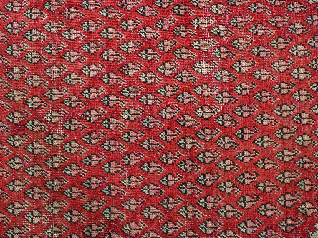 3' 2" x 9' 8"