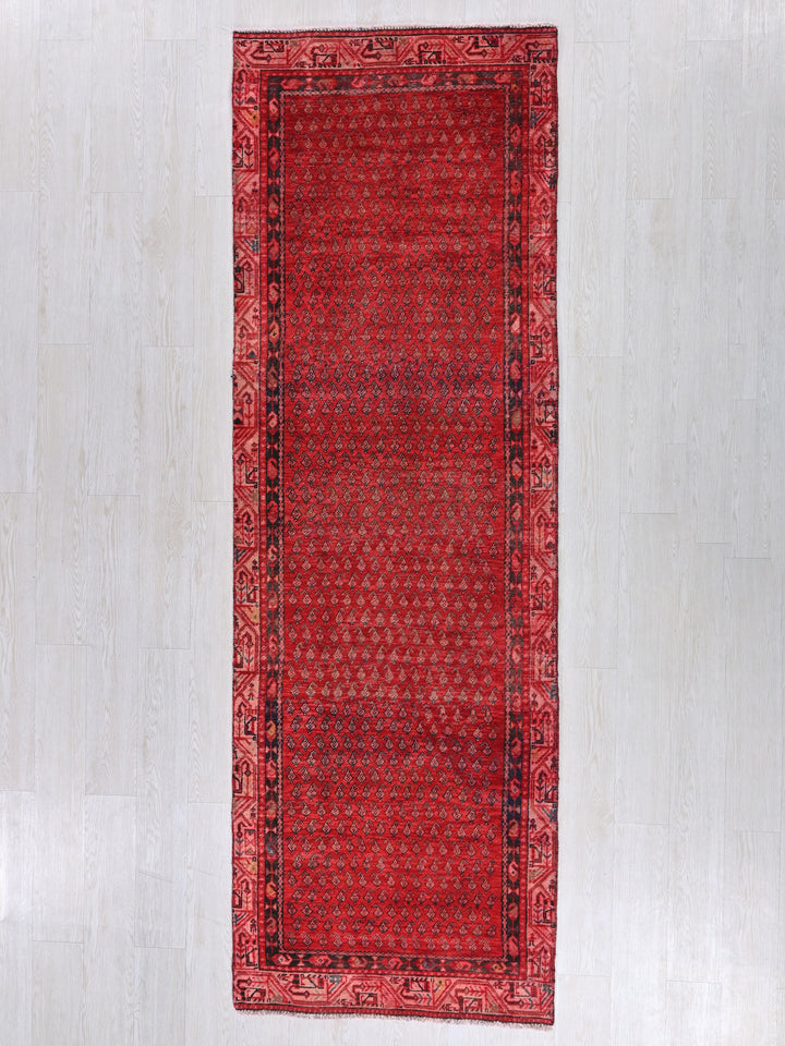 2' 12" x 9' 7"