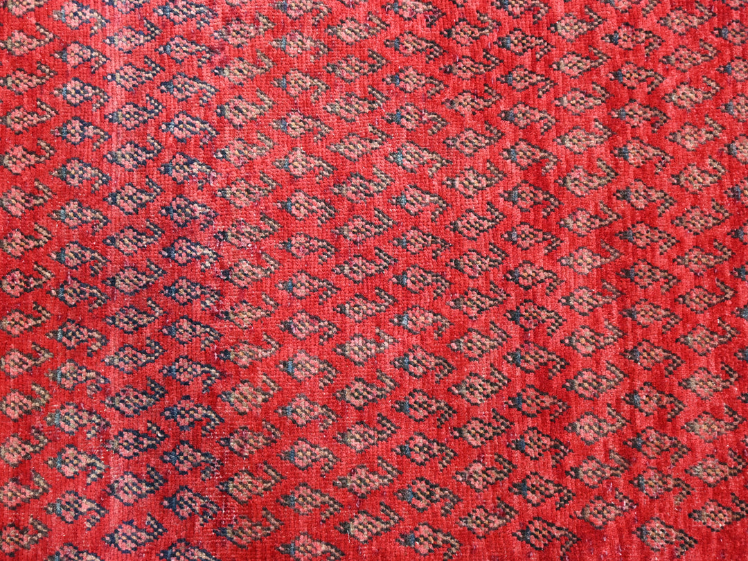 2' 12" x 9' 7"