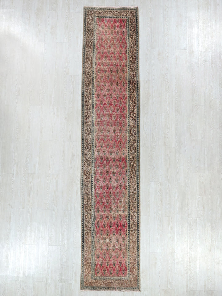 2' 4" x 12' 6"