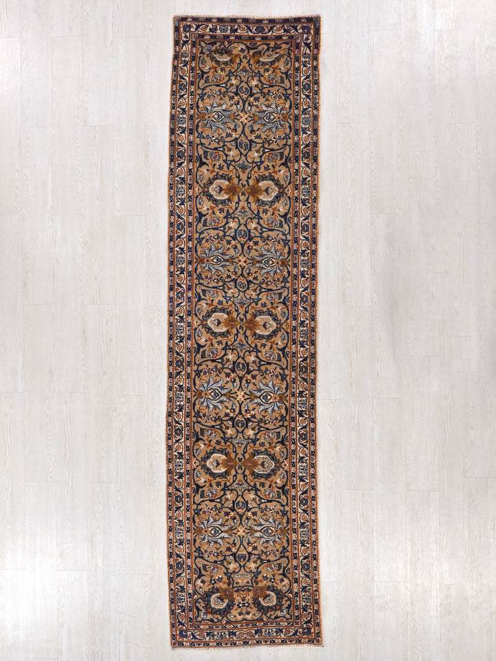 2' 4" x 10' 3"