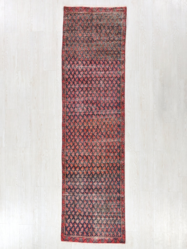 2' 3" x 8' 10"