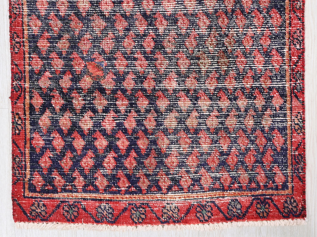 2' 3" x 8' 10"