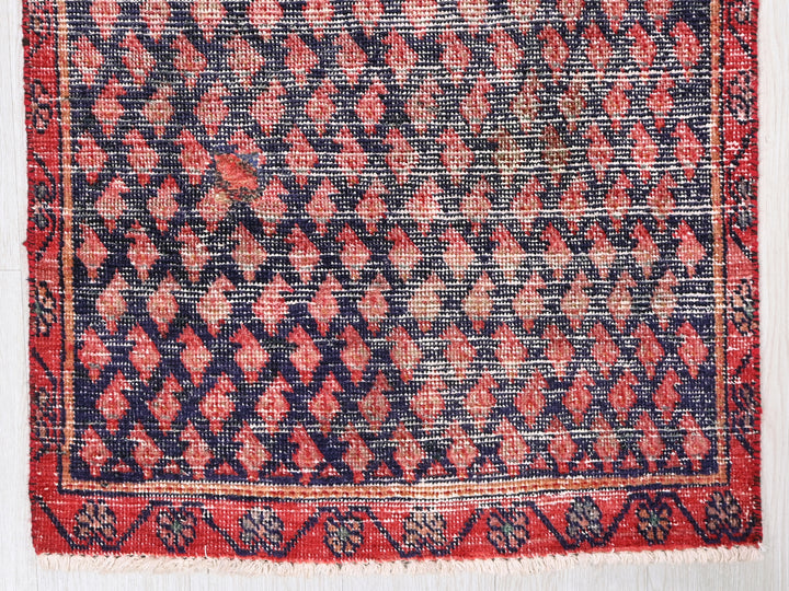 2' 3" x 8' 10"