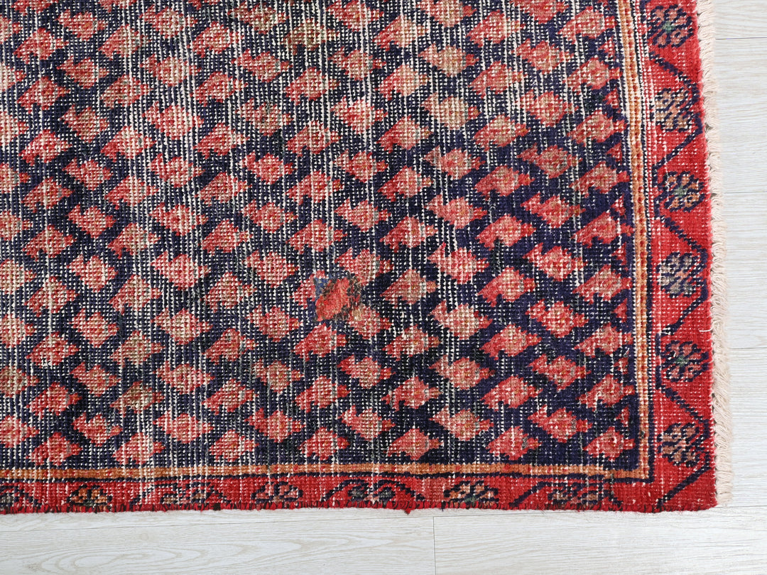 2' 3" x 8' 10"