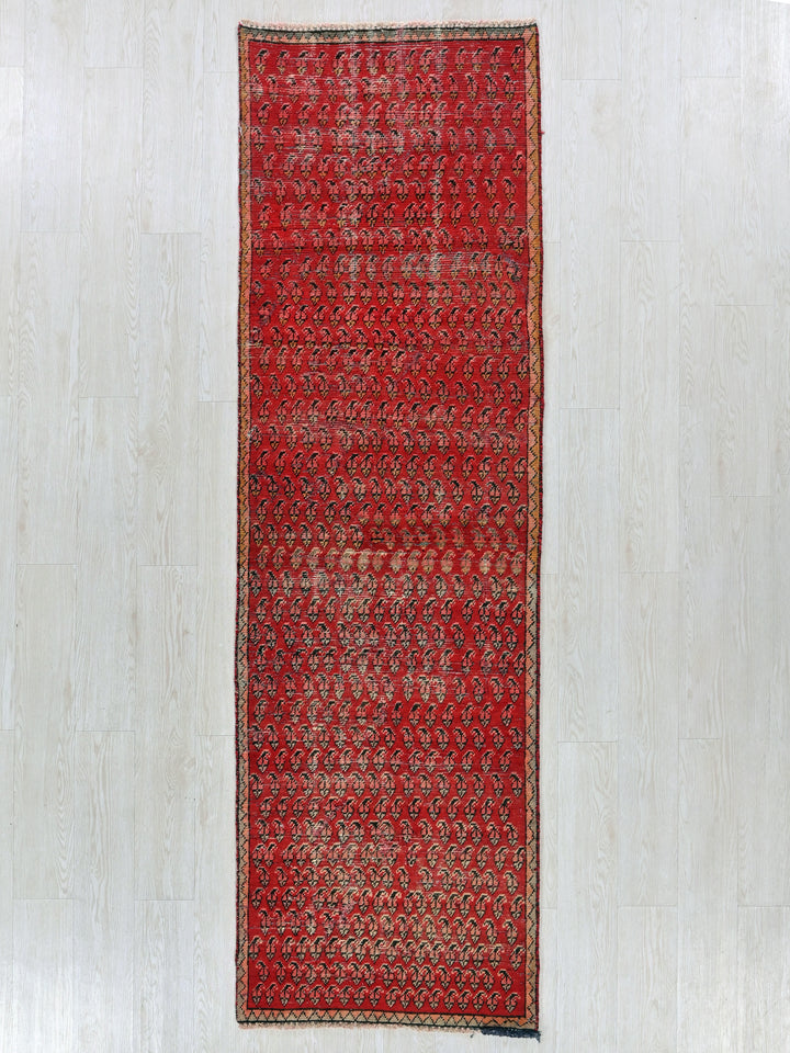 2' 6" x 8' 12"