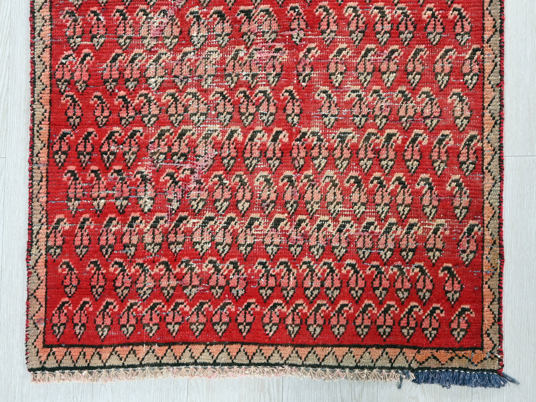 2' 6" x 8' 12"