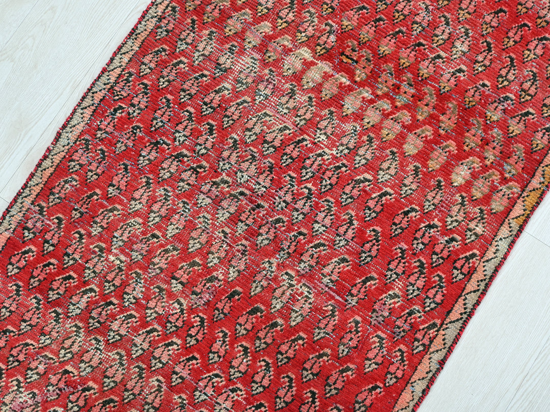 2' 6" x 8' 12"