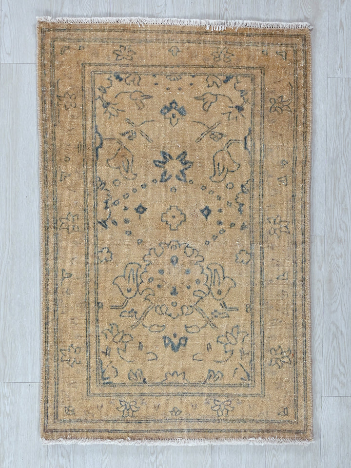 2' 4" x 3' 10"