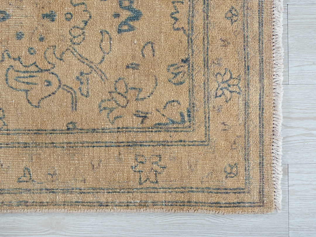 2' 4" x 3' 10"