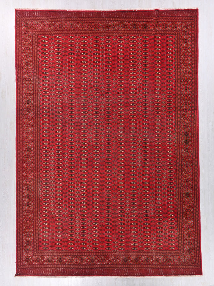 9' 11" x 12' 8"