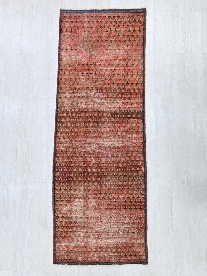 2' 12" x 8' 8"