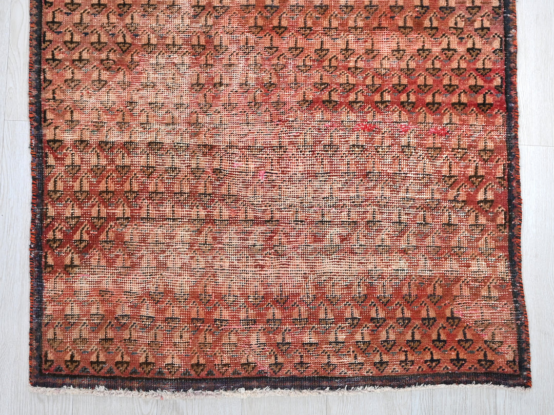 2' 12" x 8' 8"