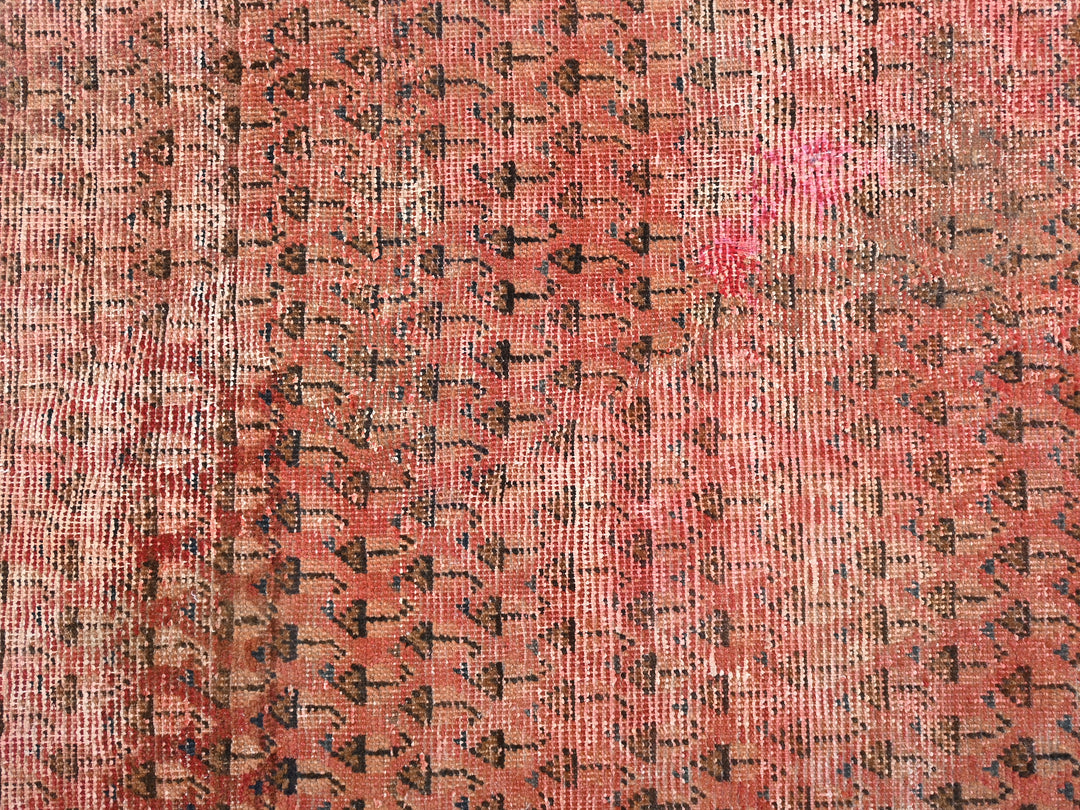 2' 12" x 8' 8"