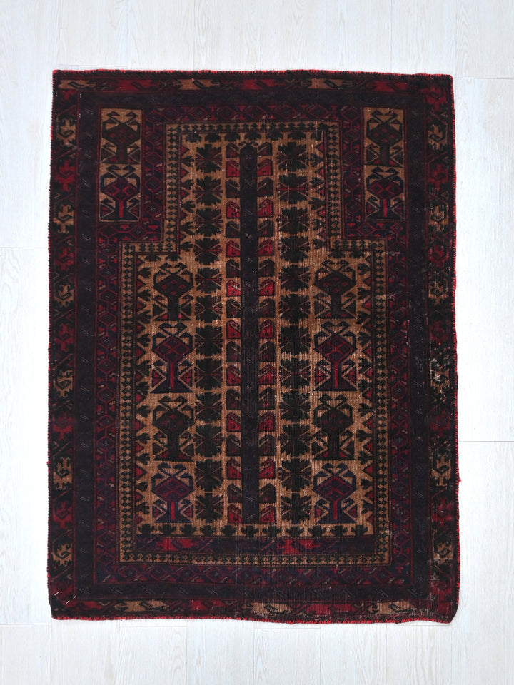 2' 12" x 4' 5"