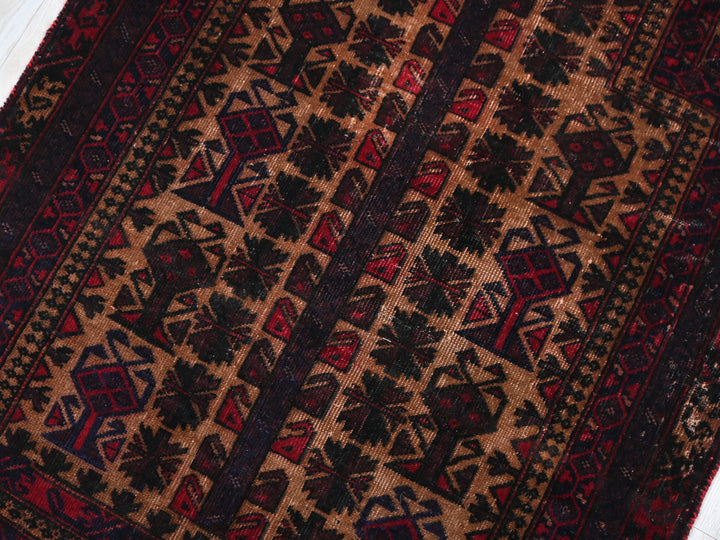 2' 12" x 4' 5"