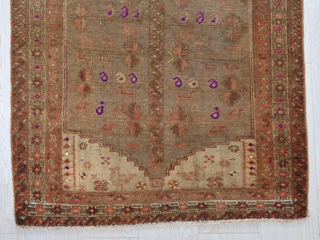 2' 5" x 5' 2"