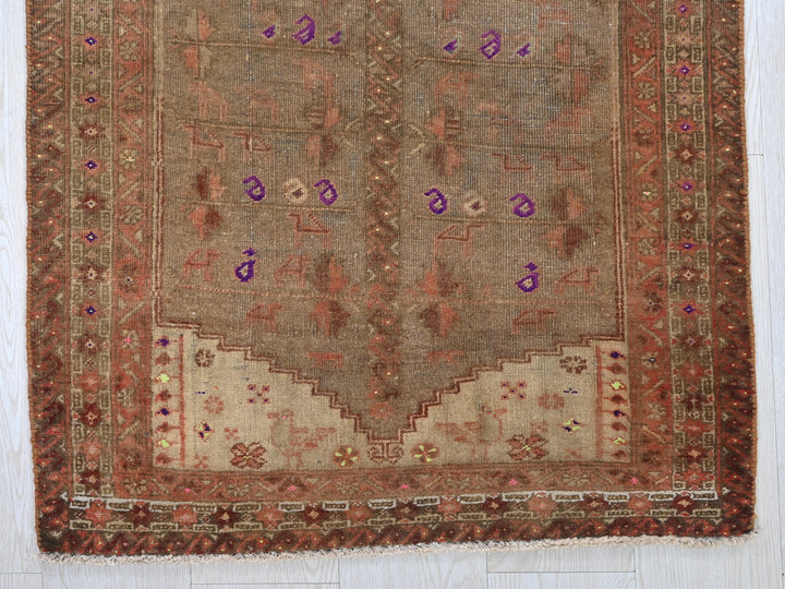 2' 5" x 5' 2"