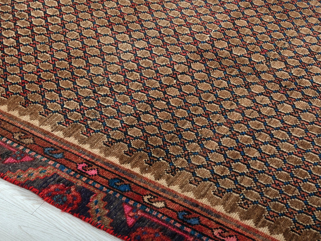 a large oriental rug on the floor of a room