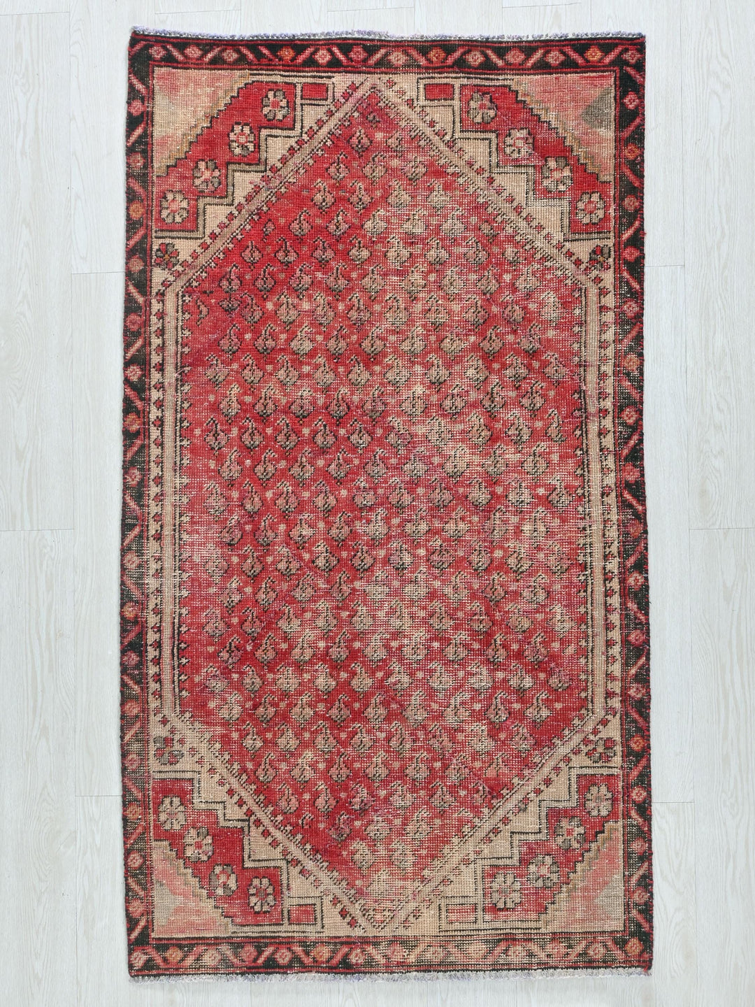 a red rug with a floral design on a white background