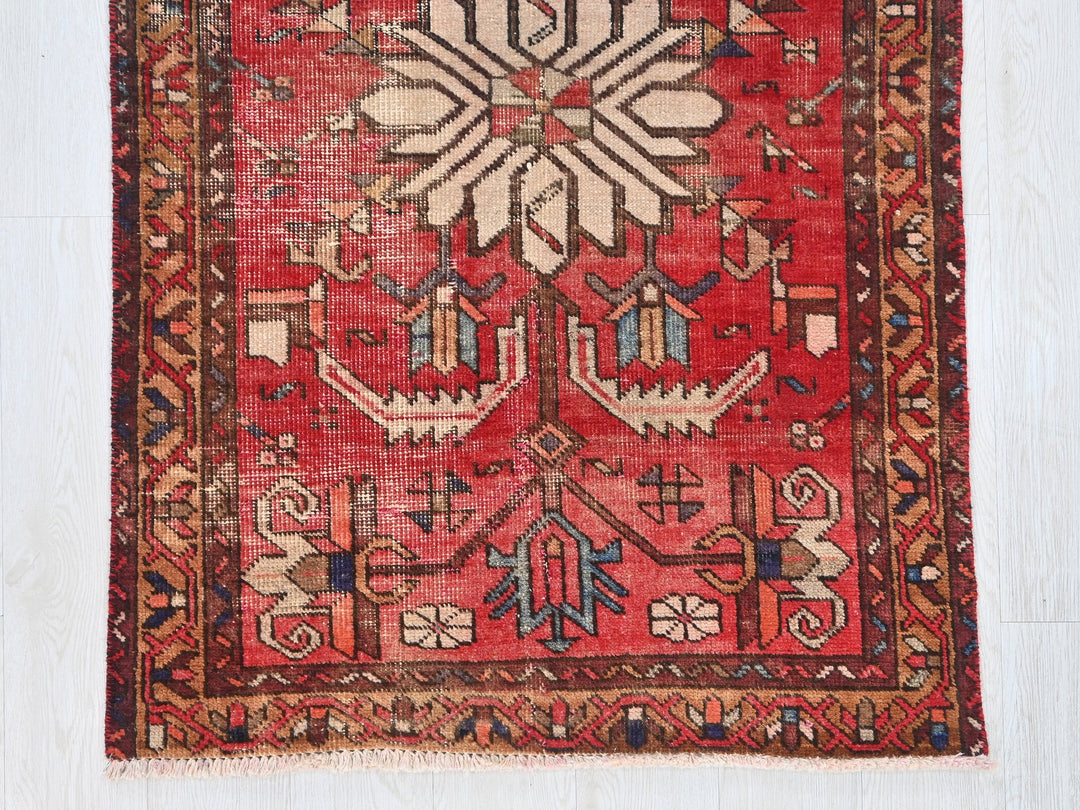 2' 12" x 12' 4"