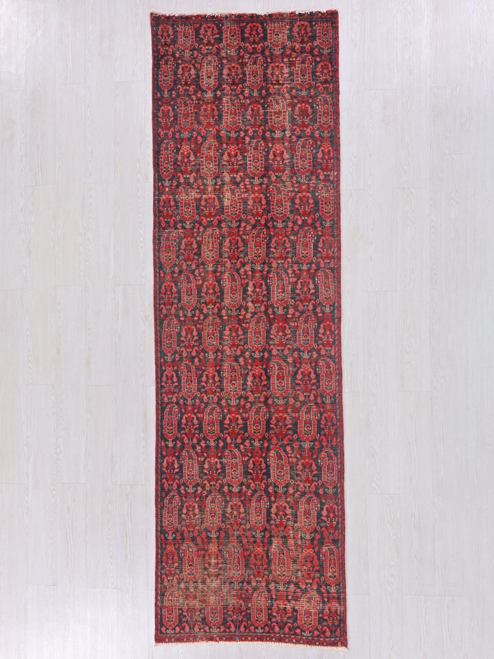 2' 12" x 9' 3"