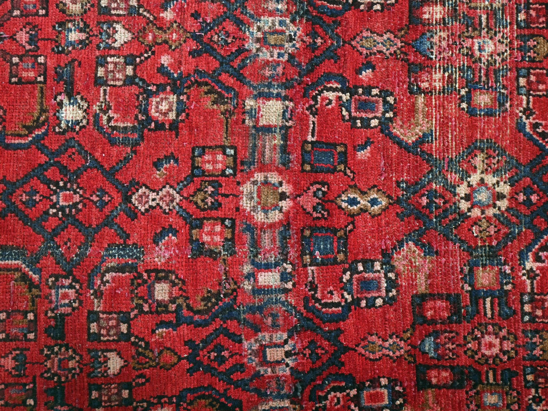 2' 12" x 9' 3"
