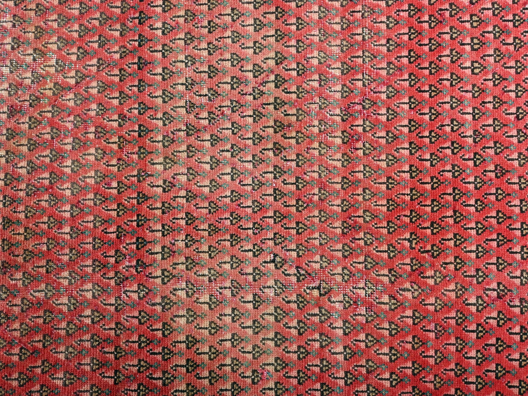 2' 12" x 4' 8"