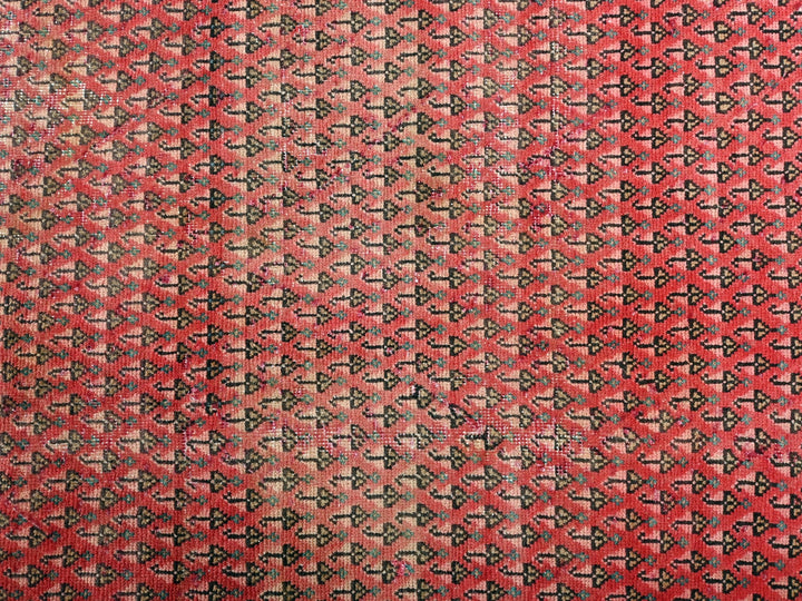 2' 12" x 4' 8"