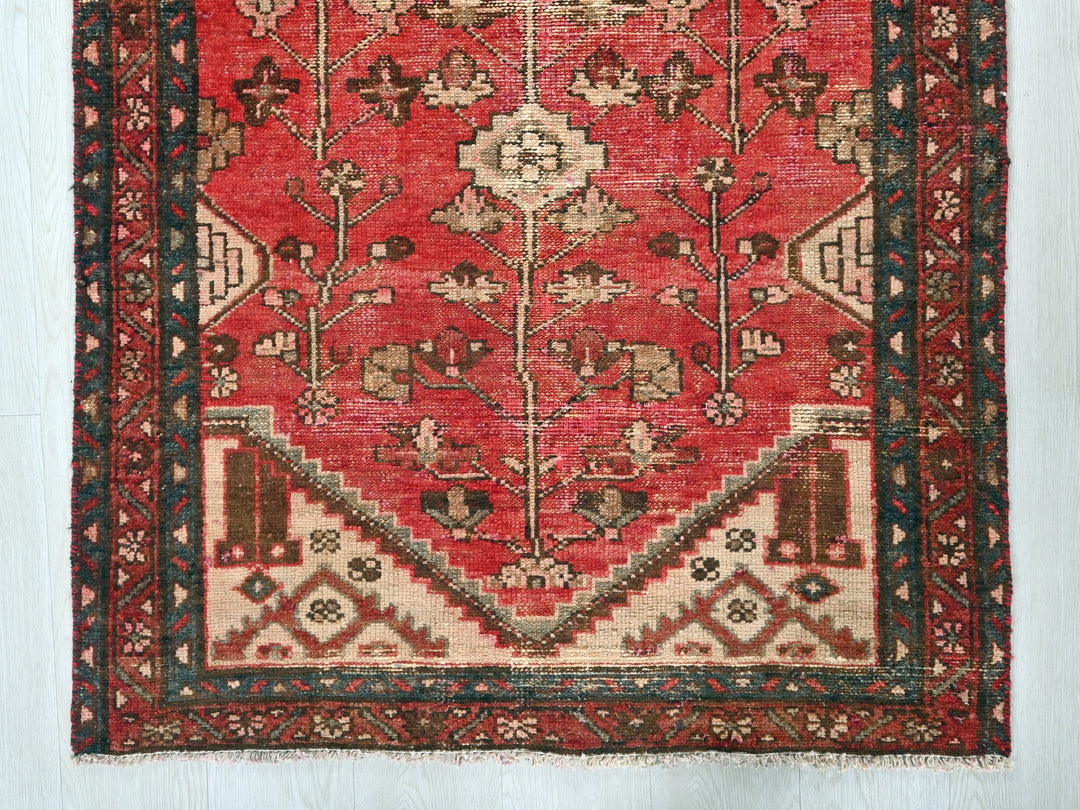 2' 12" x 8' 4"