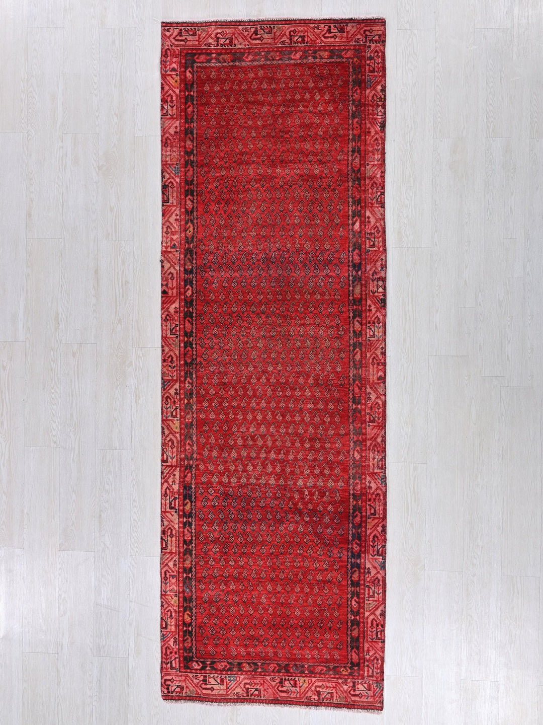 2' 12" x 9' 7"