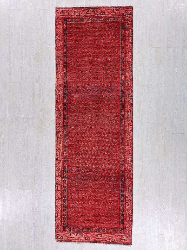 2' 12" x 9' 7"
