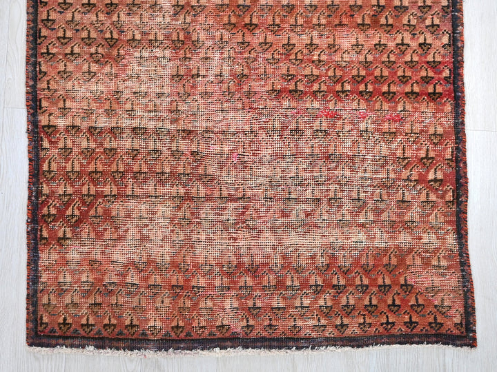 2' 12" x 8' 8"