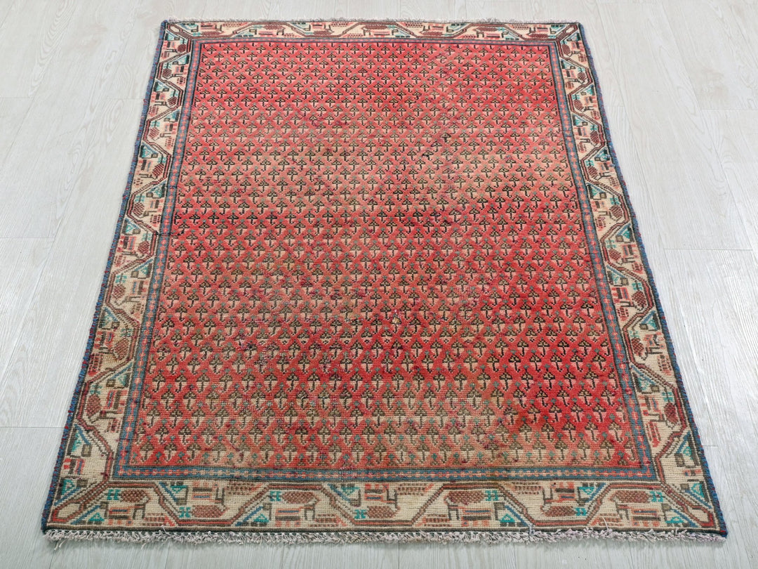 2' 12" x 4' 8"