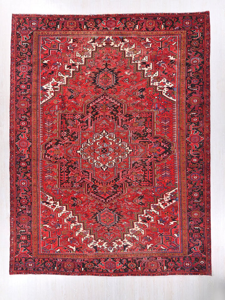 10' 1" x 12' 10"