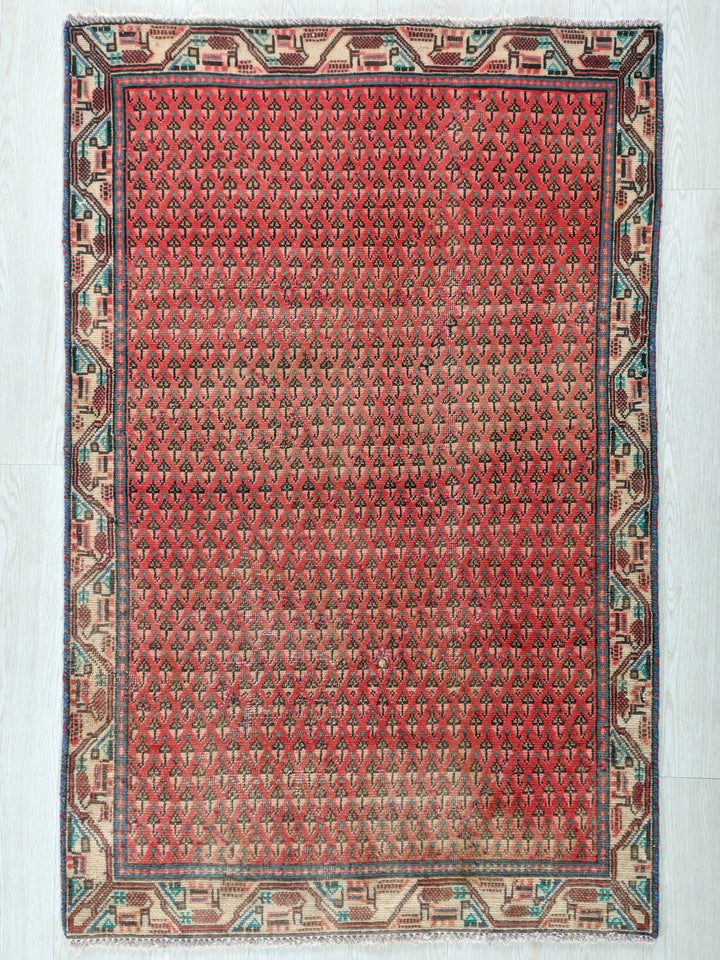2' 12" x 4' 8"