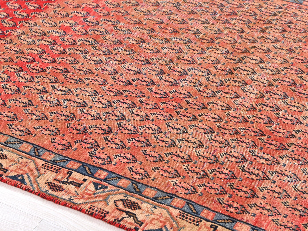a large oriental rug on a white floor