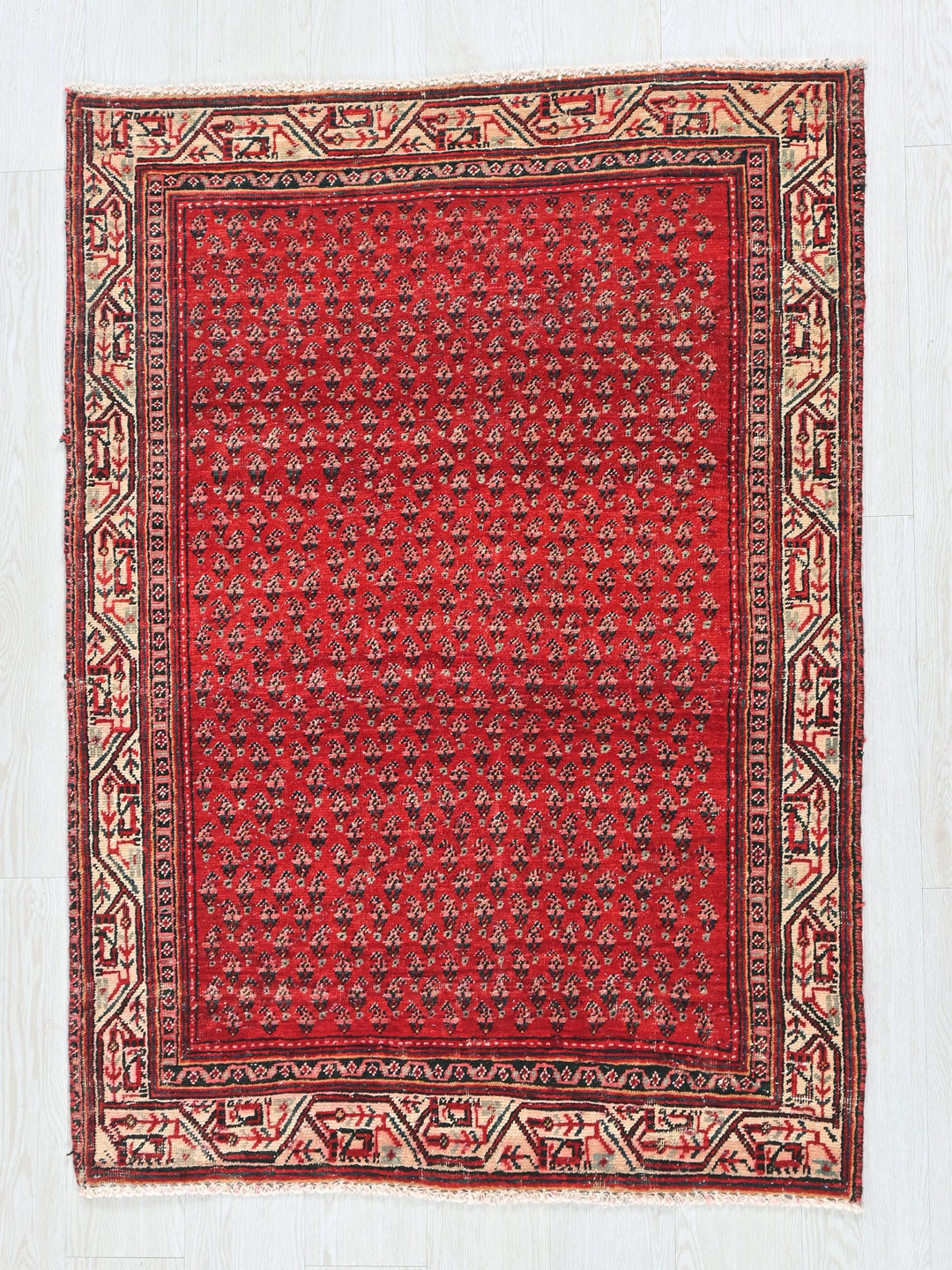 a red rug on a white wooden floor