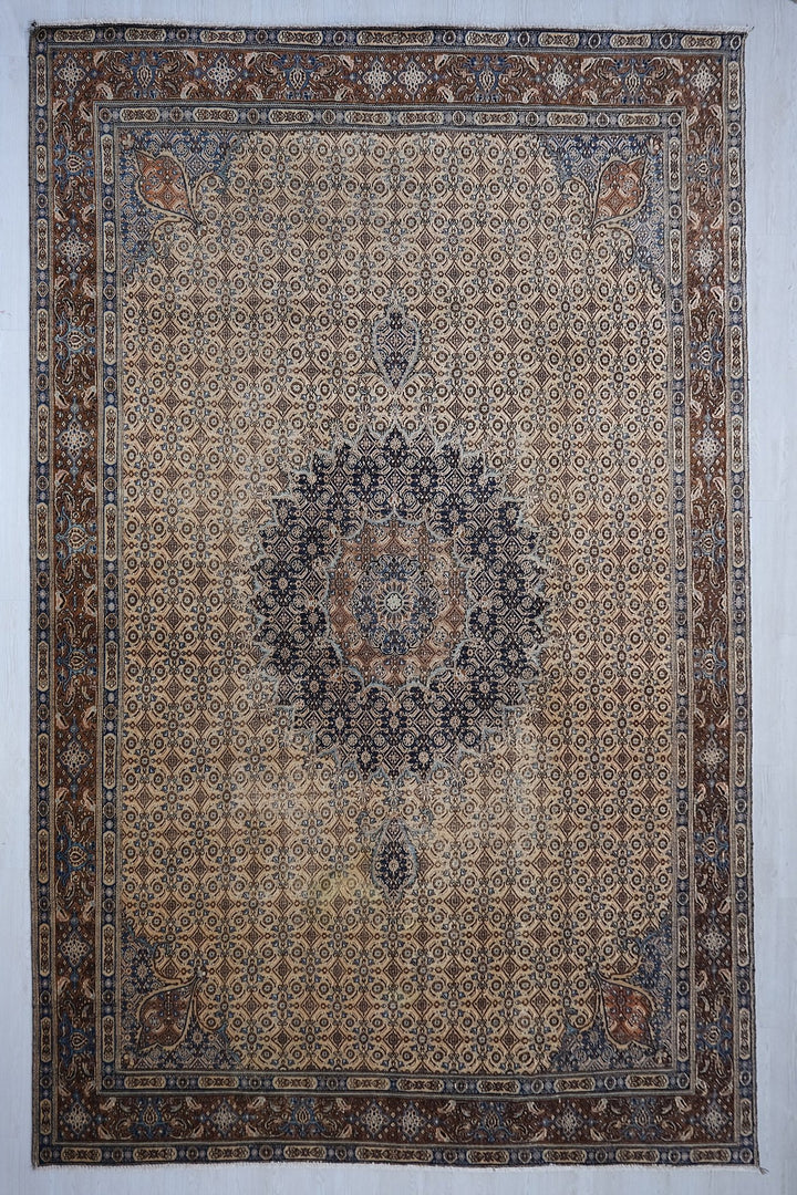 9'11" x 12'9"