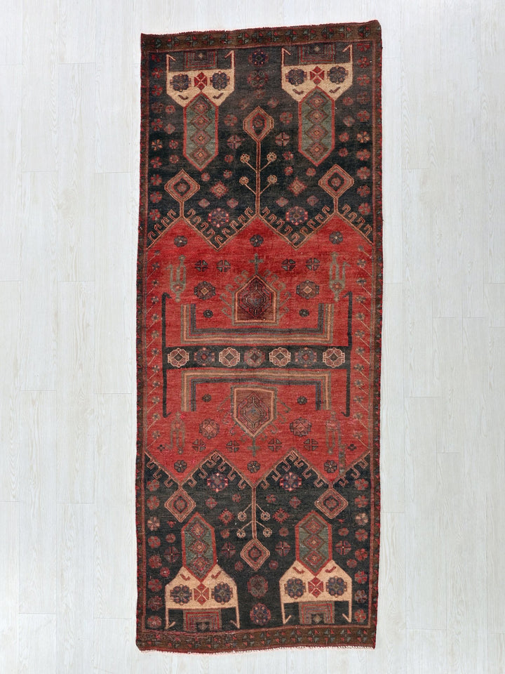 3' 2" x 8' 3"