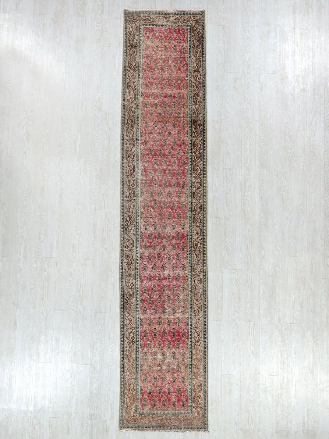 2' 4" x 12' 6"